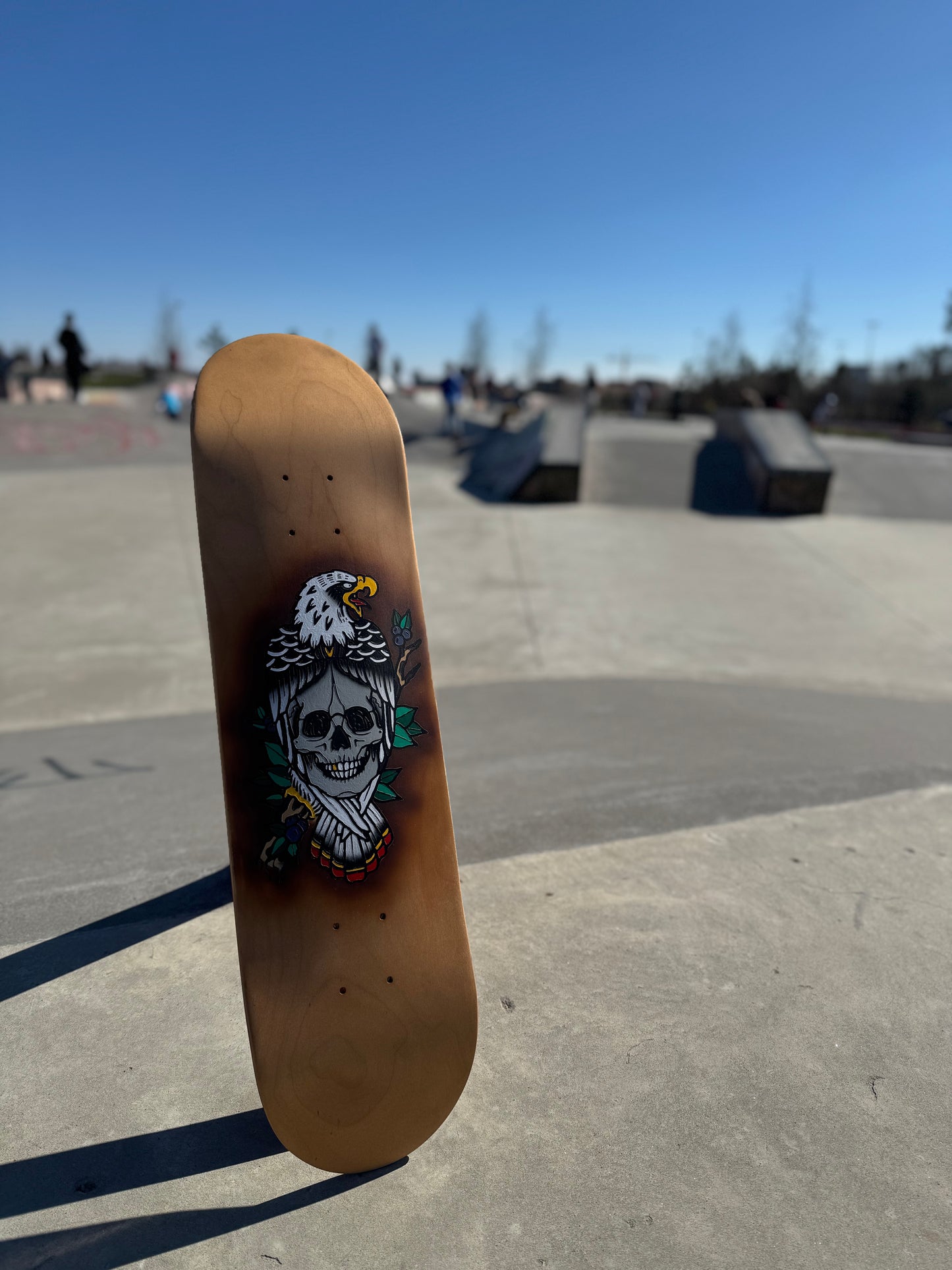 Skatedeck Hawk Skull